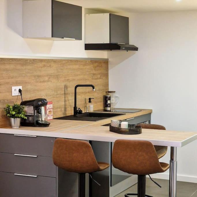 Grand Loft Avec Terrasse Privee Lägenhet Saint-Etienne  Exteriör bild